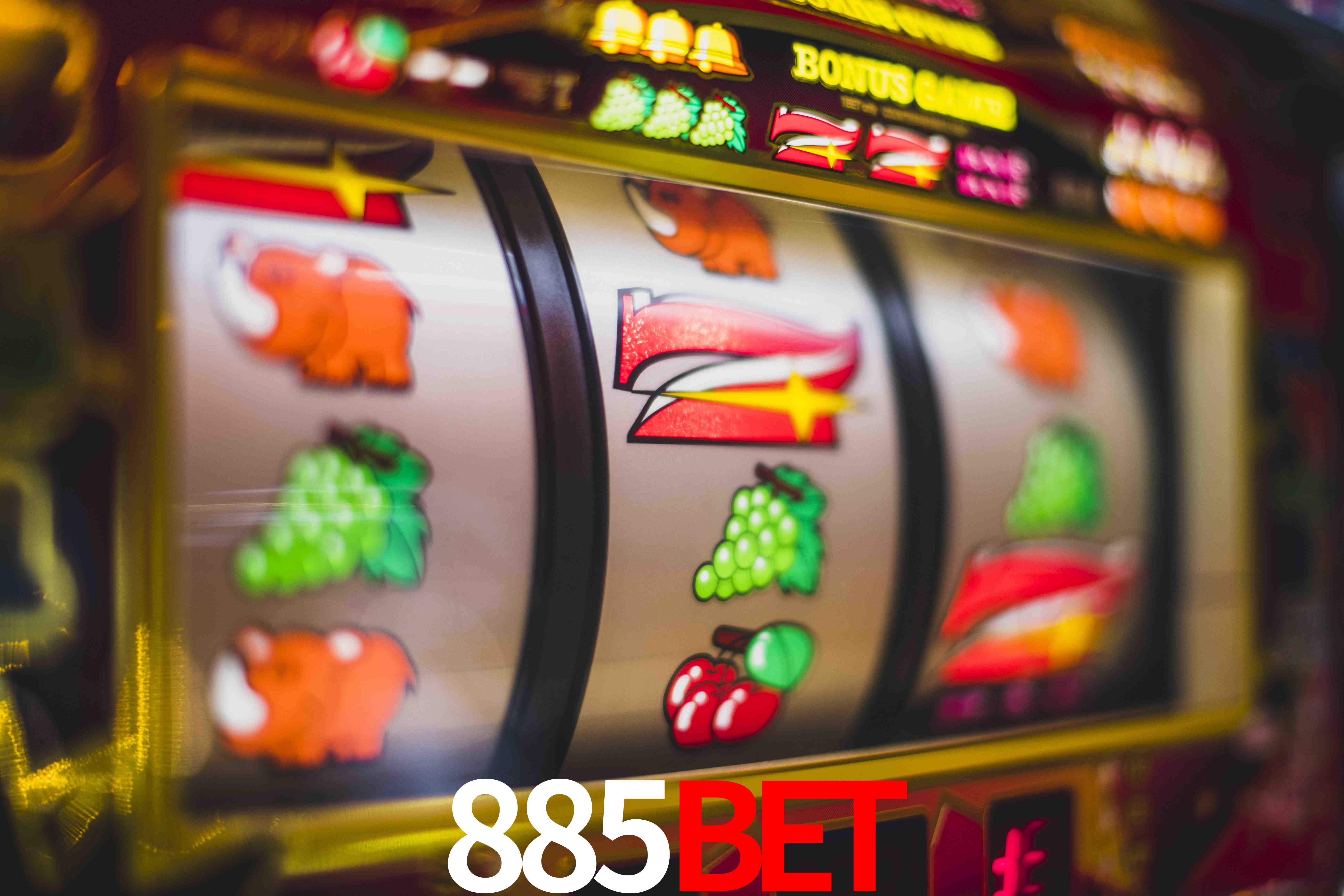 Sports Statistics 885Bet